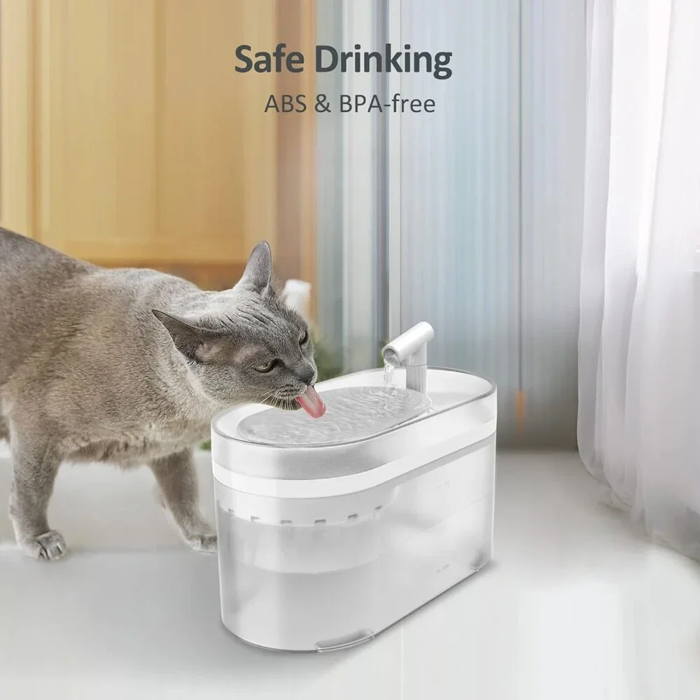 Petory cat water